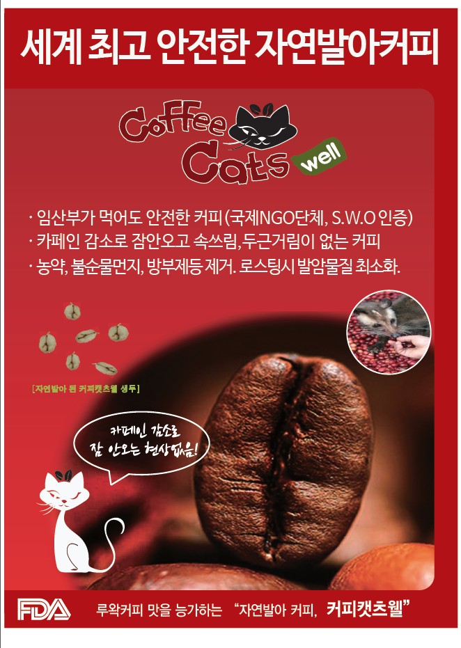 커피캣츠웰(발아원두커피)250g 분쇄 드립커피