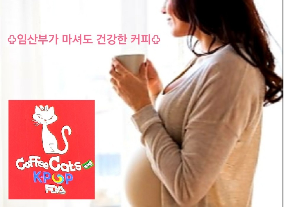 커피캣츠웰(코코넛믹스커피)100ea in box